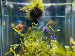 -太平洋海底世界