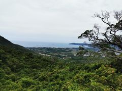 -亚龙湾热带天堂森林公园