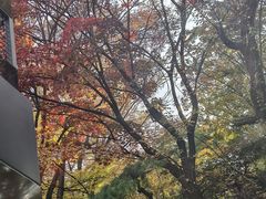 -新世界百货(明洞总店)