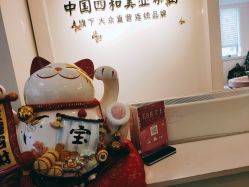 -西施无菌半永久纹绣眉眼影唇轻增发纹发际线
