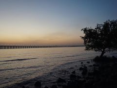 -宝安西湾红树林湿地公园