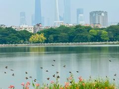 -海珠湖公园