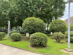 -两河城市森林公园