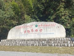 -紫鹊界梯田景区