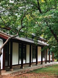 -自然美Natural Beauty