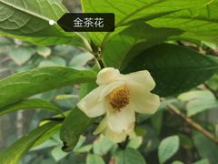 -昆明植物园