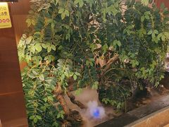 -南山翁新概念川菜(江宁万达广场店)