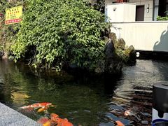 -代术连山回锅肉创始人餐厅(小学店)