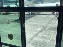 -西沃古尔·拉姆古兰爵士国际机场