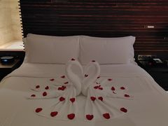 -海南清水湾莱佛士酒店