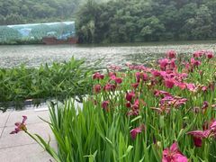 -湘湖逍遥庄园·水漾中餐厅
