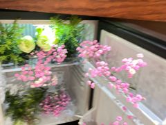 -凯威大酒店(海口秀英码头店)