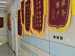 -中农国际动物医院24小时·猫科·骨科·急重症中心
