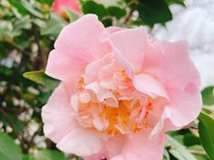 -比斯特上海购物村精品奥特莱斯