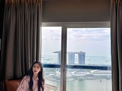 -新加坡瑞士史丹福酒店