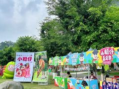 -广西壮族自治区药用植物园