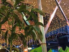 -润泽园椰子鸡(汇一城店)