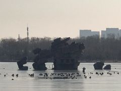 -大兴滨河森林公园