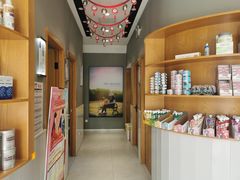 -关爱宠物医院·猫科中心·消化科(滨湖万达分院)