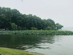 -杭州西湖风景名胜区-钱塘苏小小之墓