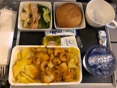 -新加坡航空公司(ION)