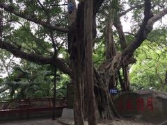 -聚春园闽都食府