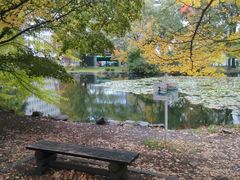 -北海道厅旧本厅舍(旧本庁舎)