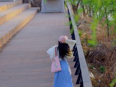 -长白岛森林公园