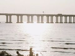 -宝安西湾红树林湿地公园