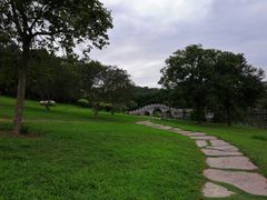 -大屏嶂森林公园