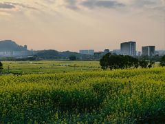 -光明小镇欢乐田园