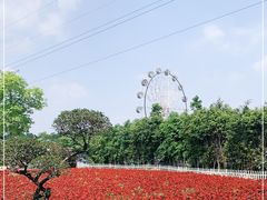 -广东花都香草世界旅游度假区