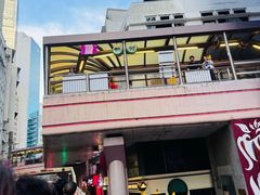 -Big Bus Tours 敞篷观光巴士