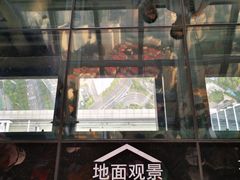 -上海环球金融中心云端足球盛典