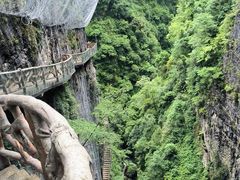-木兰云雾山