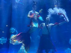 -华夏文旅海洋公园