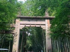 -西湖风景区十里琅珰-五云山