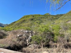 -云岫谷游猎自然风景区