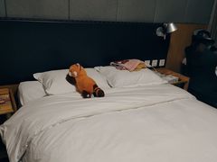 -北京民族园葉子里酒店(鸟巢店)