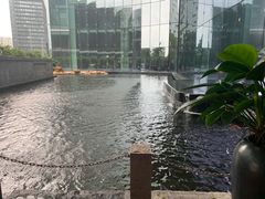 -春满园·早茶·粤菜·宴会(前海店)