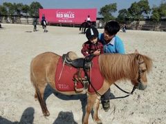 -松声马术俱乐部