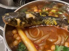 鲜活黄辣丁-鸿顺老铁锅美蛙鱼府(解放碑店)