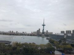 -聚龙湖公园