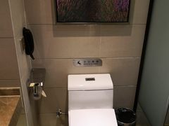 -麗枫(广州番禺长隆南村万博地铁站店)