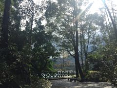 -广州市流溪河国家森林公园