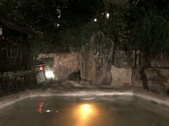 -天目湖涵田半山温泉