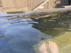 -明谷行馆·温泉