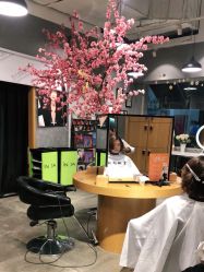 -时尚殿堂明星门店