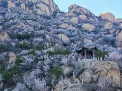 -北京凤凰岭