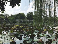 -惠州西湖丰渚园